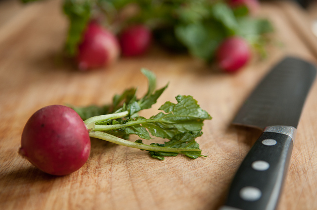Oh, radishes - you peppery bastards - I love you © Pen Waggener/Flickr