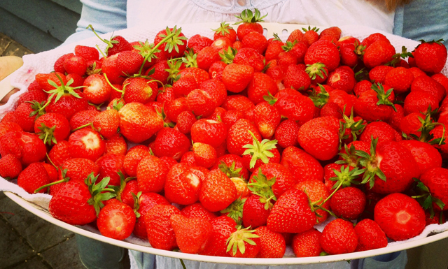 Bumper crop of strawberries from my parents' garden this year © Mum / Earthbornliving