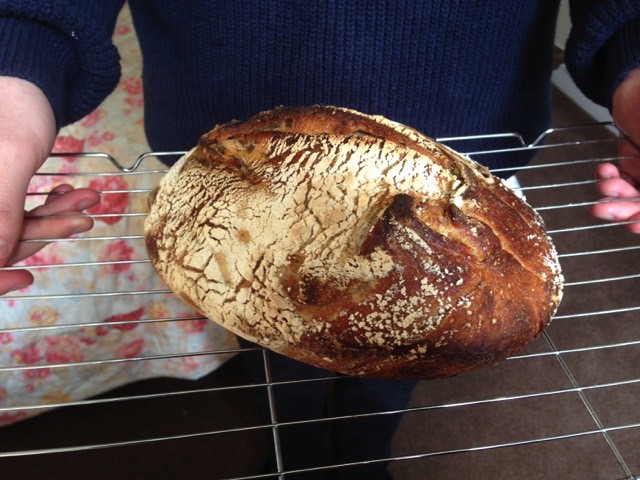 Jake's first sourdough.jpeg