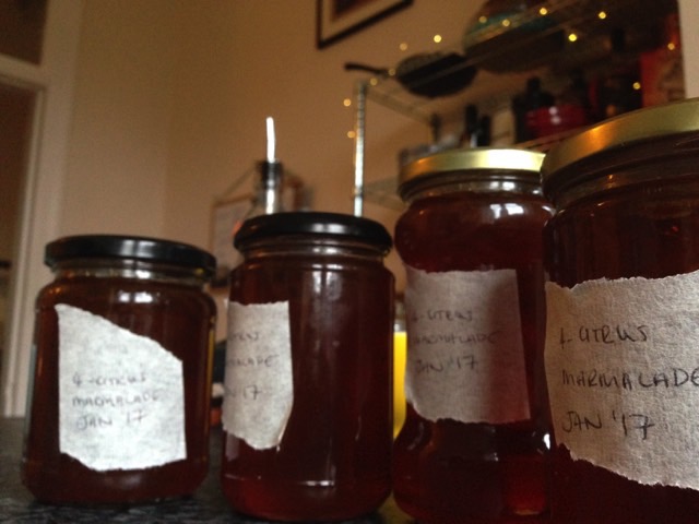 old marmalade.jpeg
