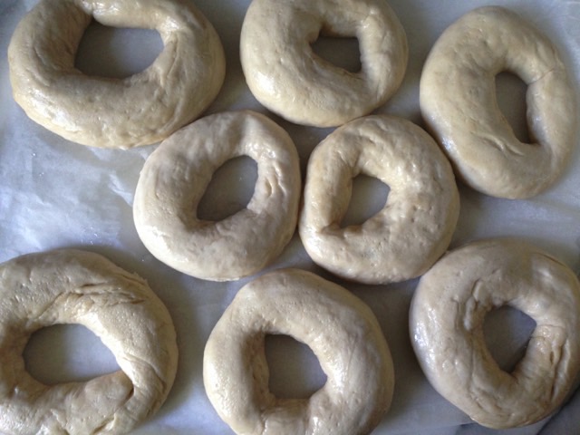 proving bagels.jpeg